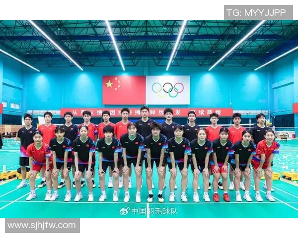 杭州羽毛球队在锦标赛中的比赛经验与表现分析与点评