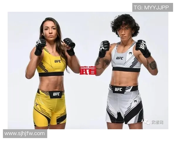 琼斯与特谢拉巅峰对决谁将问鼎UFC轻重量级冠军宝座