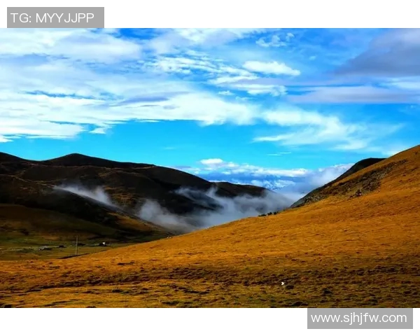 萨林杰的文学世界与人性探索：从孤独到自我救赎的心灵旅程