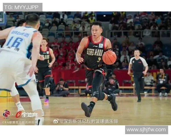 贺希宁：从青年才俊到篮球明星的成长之路与奋斗历程