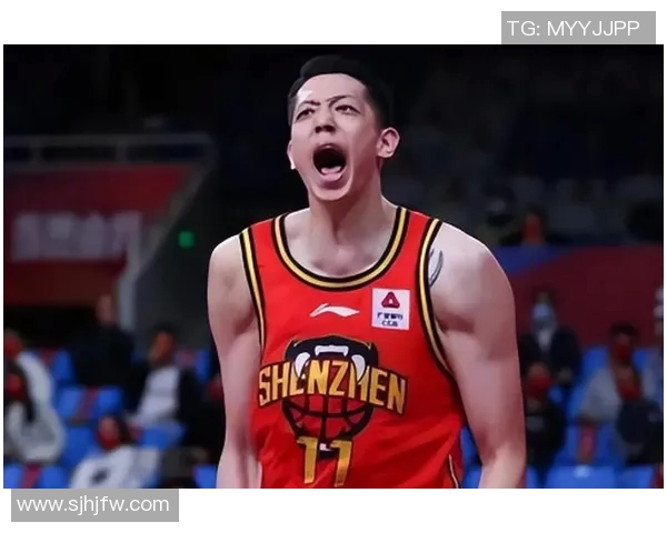 沈梓捷：从青年才俊到篮球明星的成长之路与奋斗历程