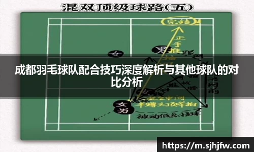 成都羽毛球队配合技巧深度解析与其他球队的对比分析