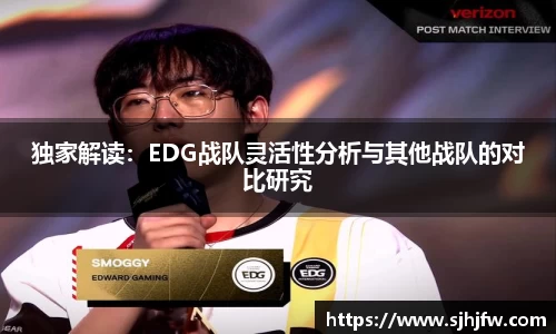 独家解读：EDG战队灵活性分析与其他战队的对比研究